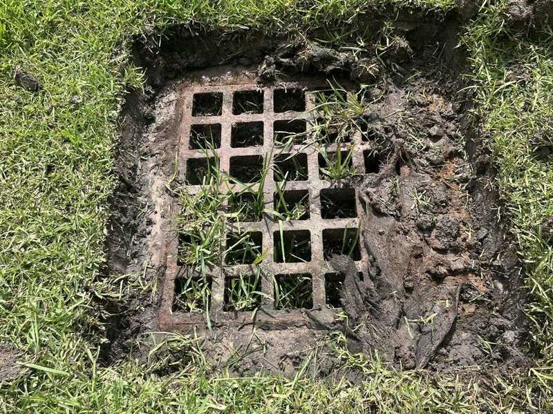 Storm drain inlet partially blocked by grass, mud, and debris in a grassy area, illustrating conditions before maintenance and cleaning work.