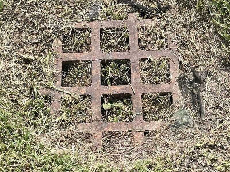 Storm drain inlet grate partially covered by grass and vegetation in a residential drainage area, showing restricted water flow before cleaning and maintenance work.